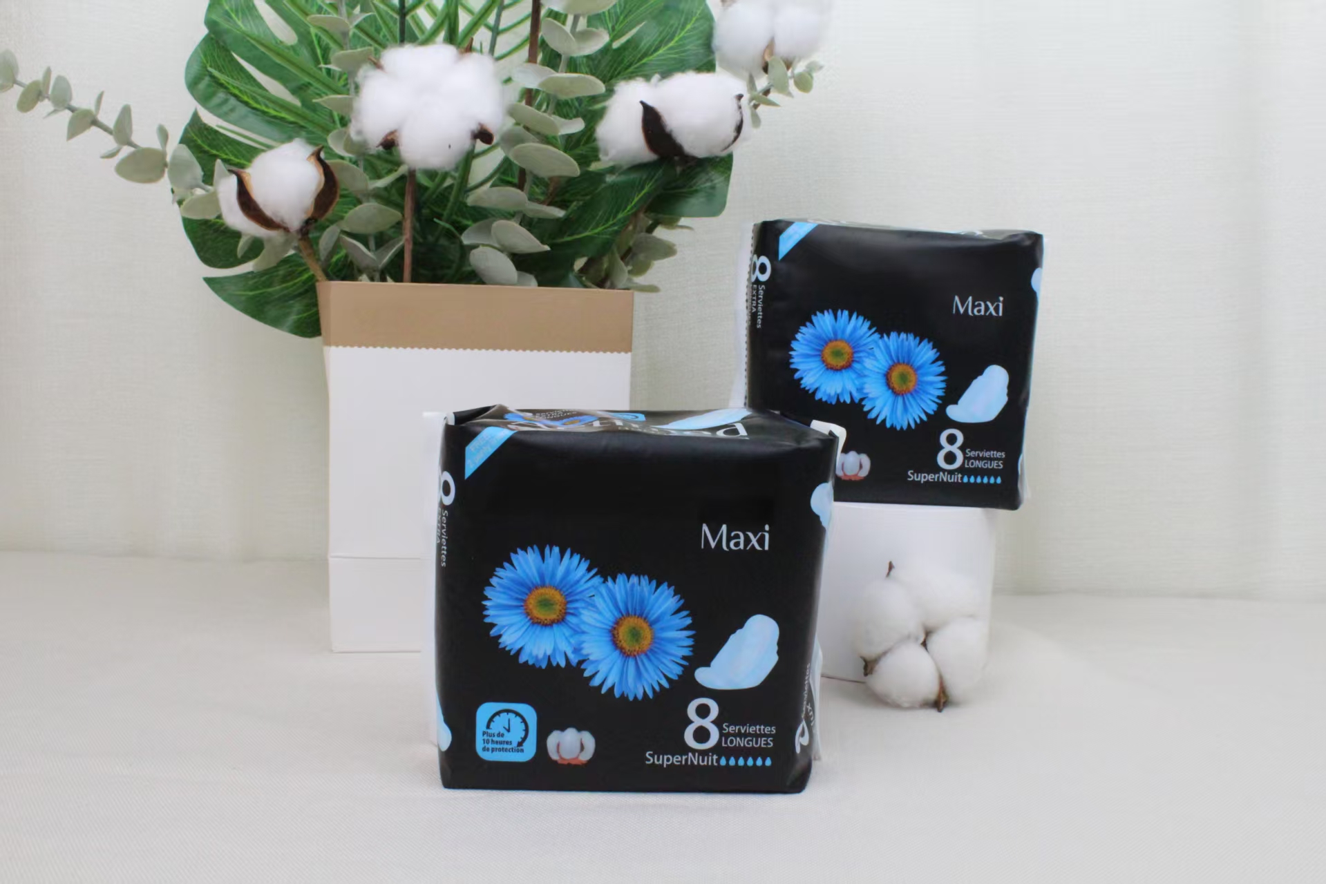 Sanitary Napkin 1