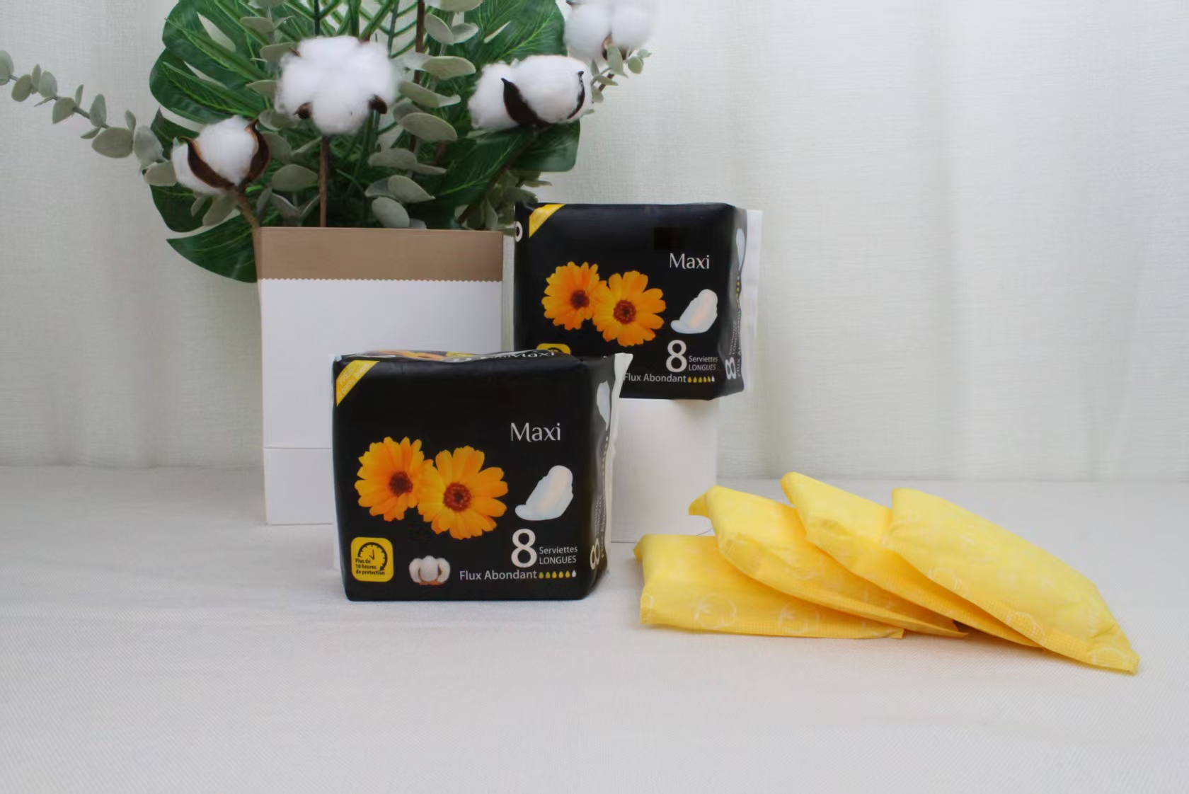 Sanitary Napkin 3