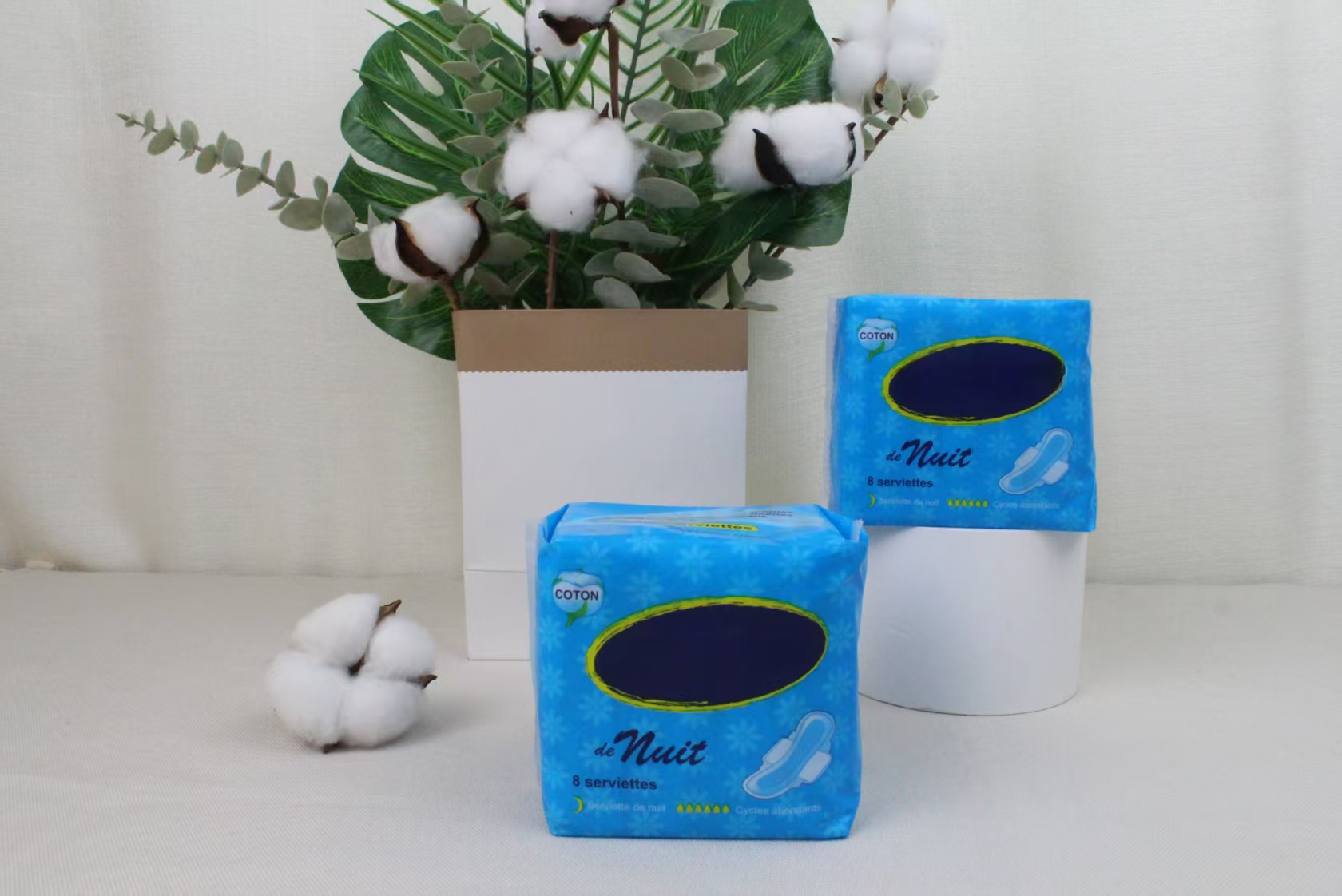 Sanitary Napkin 6